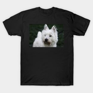 Millie on Guard T-Shirt